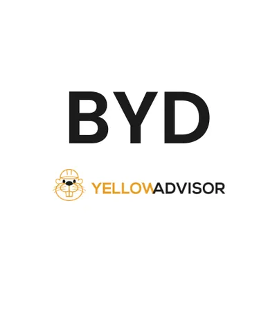 BYD logo