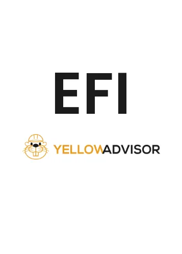 EFI logo