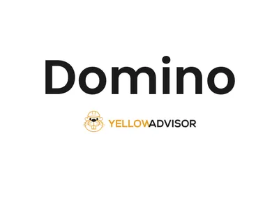 Domino logo