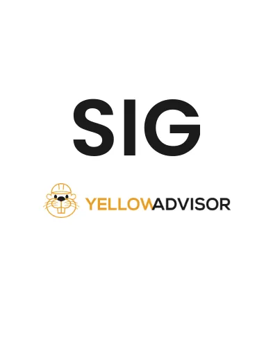 SIG logo