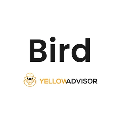 Bird logo