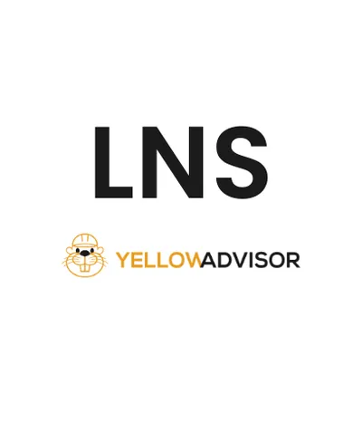 LNS logo