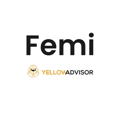 Femi logo