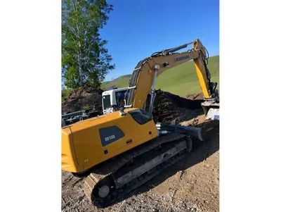 Excavator (Tracked) LIEBHERR R918 LC image 2