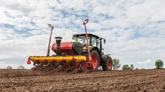 Tempo T 7