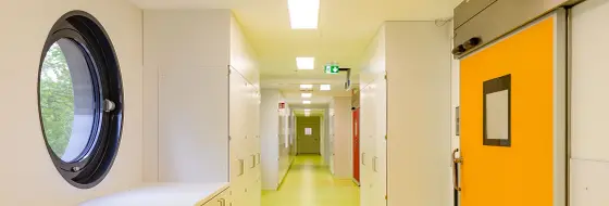 Krankenhäuser & Kliniken (Modular Hospitals)